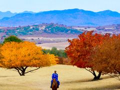 -五角枫生态旅游景区