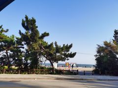 -田记自助海鲜饺子