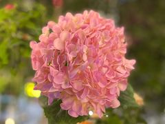 -醉川色·Bistro(天钥桥路店)