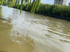 -运河游船(武林门码头)