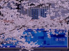 -永乐路-路侧停车场