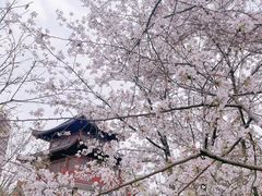 -堤角公园
