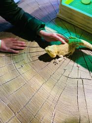 -酷嗒动物文化乐园(cutezoo西溪乐天城店)