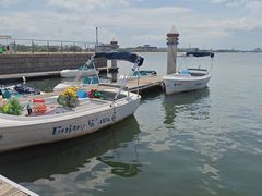 -日照海滨国家森林公园