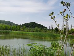 -南北湖风景区