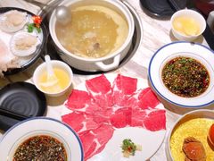 -汤城·料青山