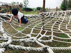 -田园东方蜜桃村的田野营地