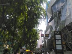 -爱雍·乌节