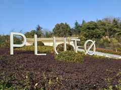 -UNIUNI(凯瑟琳广场店)