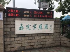 -嘉定紫藤园