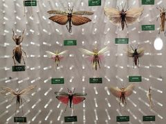 -国家自然博物馆