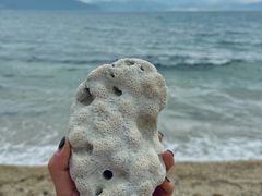 -东平洲海岸公园