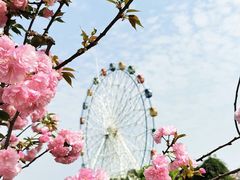 -观澜湖生态运动公社
