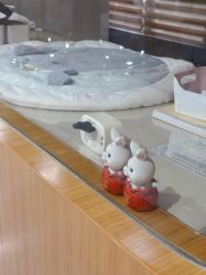 -宝生月子中心·独栋独院式(南山店)