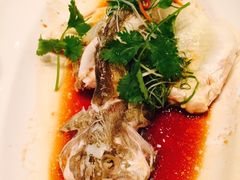 -酌宴府The China Club·广州万富希尔顿酒店(云城东路店)