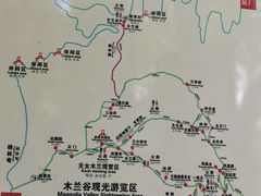 -天女山森林公园