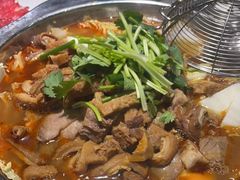 -古乐牛香·鲜牛肉牛杂火锅(千灯店)