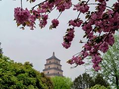 -大唐不夜城