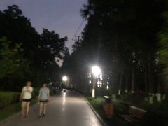-河泥荡文化公园