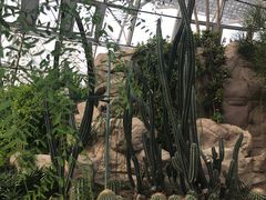 -北京植物园-展览温室