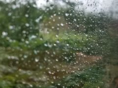 -北马山庄植趣咖啡