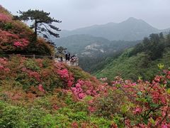 -木兰云雾山