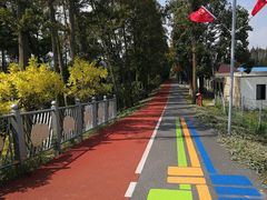 -上海长兴岛郊野公园