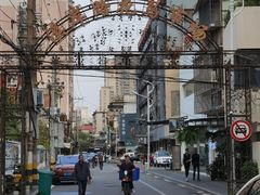-溪岸路花鸟市场