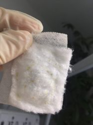 -芙贝佳禾·痘肌管理中心