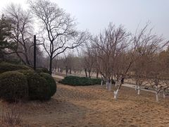 -元大都城垣遗址公园