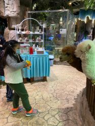 -宝燕乐园(闵行旗舰店)