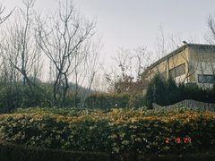 -大连金石滩绿发温泉假日酒店