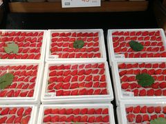 -果蔬好生活超市(东湖店)