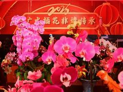 -越秀西湖花市(广州城市广场花卉店)