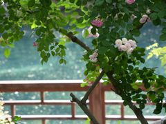 -环城公园