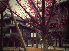 iphone_upload_pic-平乐古镇