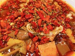 毛血旺-先启半步颠小酒馆(回龙观店)