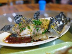 石斑鱼-四川人郑霞海鲜