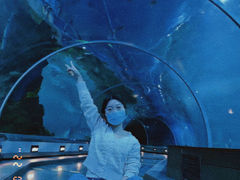 -石家庄海洋公园
