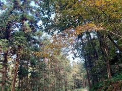 -虞山风景区