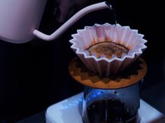 墨西哥手冲-Punchline Coffee&Roaster(同济大学店)