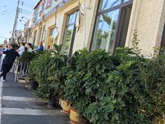 -宾朋海鲜饭庄(兴海路店)