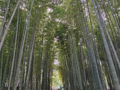 -树山生态村