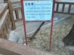 -五台山风景名胜区-罗睺寺