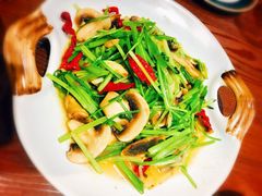 毛芹菜炒口蘑-亚克西姆新疆菜(库车店)