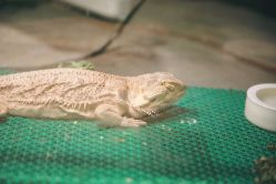 -酷嗒动物文化乐园(cutezoo西溪乐天城店)