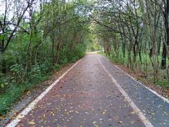 -淇河国家湿地公园