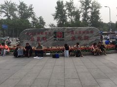 -中国人民解放军总医院(301医院)
