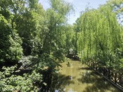 -南汇桃花村