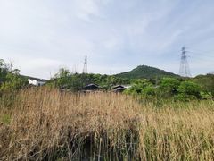 -西湖风景区-江洋畈生态公园